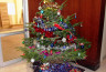 Joyeux noël et meilleurs voeux pour l&rsquo;année 2012